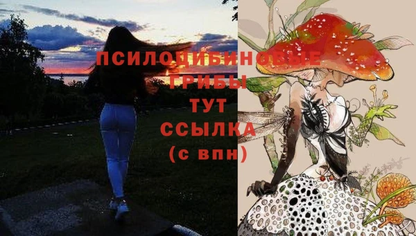метадон Горно-Алтайск