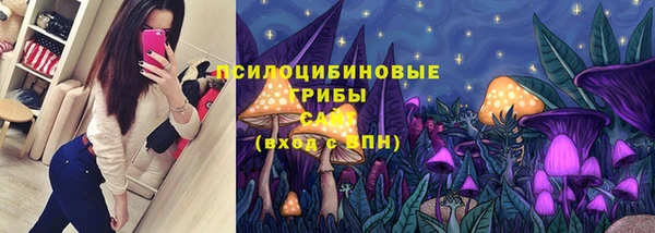 mix Горнозаводск