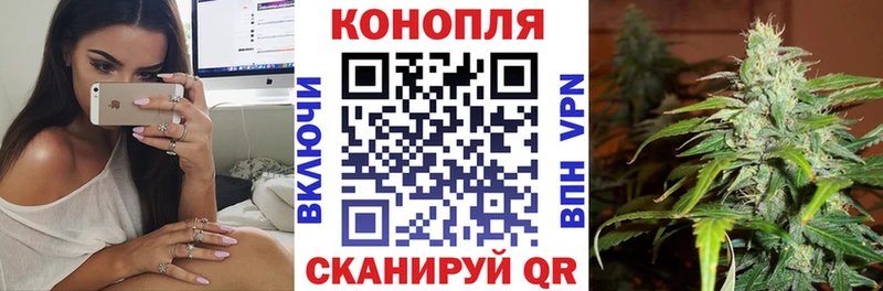 Купить где  Алагир  Марихуана сатива 